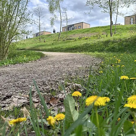 Seeblick - Tinyhouse Direkt Am